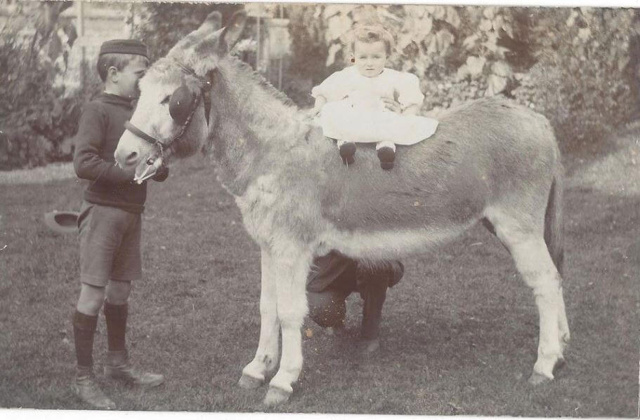 Boy Named Willis Wood and Baby on Donkey 1912
